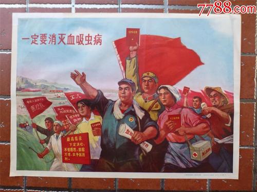 越南驾照哪里能买到